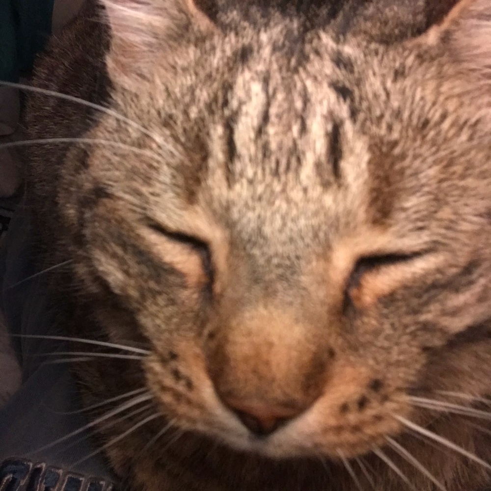 Meet your Posher, Bijal